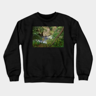 Bodetal, Bode, river, brook,, Thale, Harz, Germany, autumn Crewneck Sweatshirt